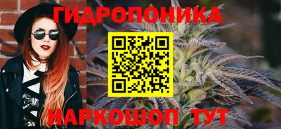 дмт Лесосибирск