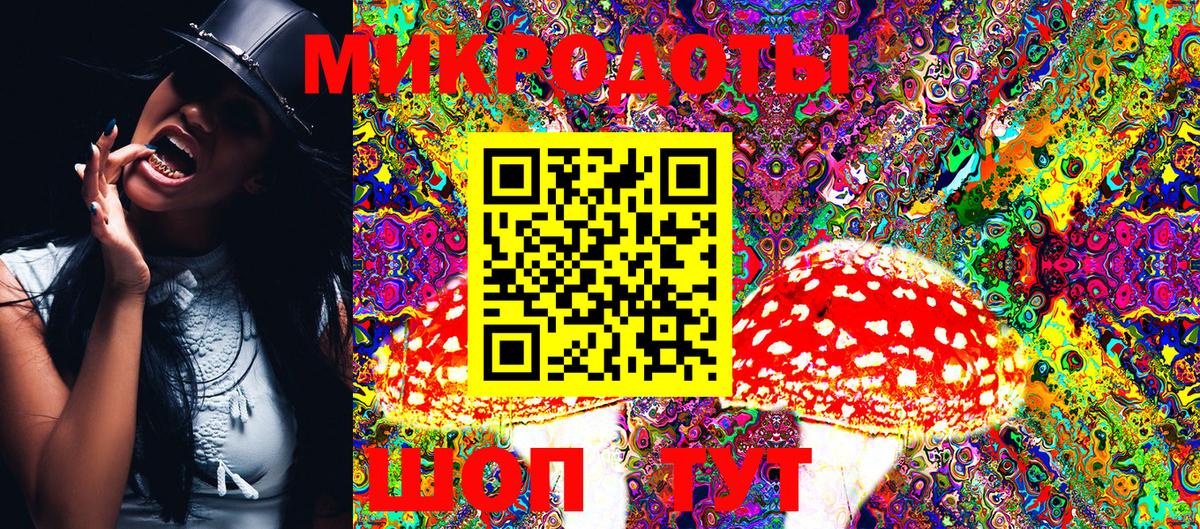 Городец  Псилоцибиновые грибы Cubensis  Псилоцибиновые грибы MAGIC MUSHROOMS  Вход с VPN 