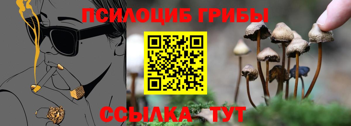 Псилоцибиновые грибы Psilocybine cubensis Городец